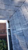 Clean Pro Gutter Cleaning New Haven image 2